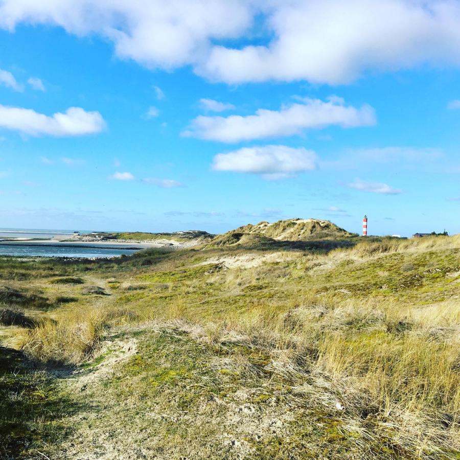 Paddle - Vue Mer - 100M Plage Berck Zewnętrze zdjęcie
