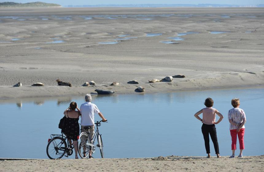 Paddle - Vue Mer - 100M Plage Berck Zewnętrze zdjęcie