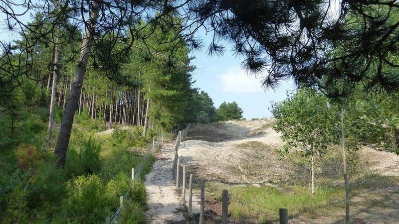 Paddle - Vue Mer - 100M Plage Berck Zewnętrze zdjęcie