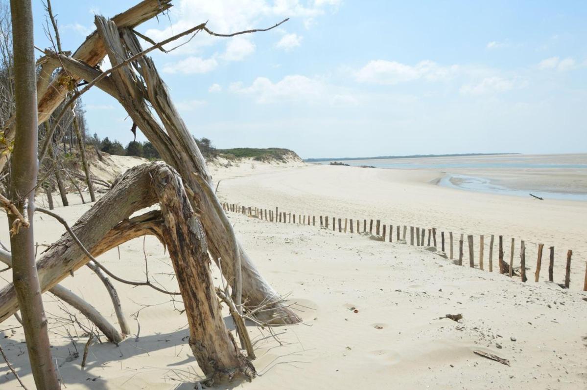Paddle - Vue Mer - 100M Plage Berck Zewnętrze zdjęcie